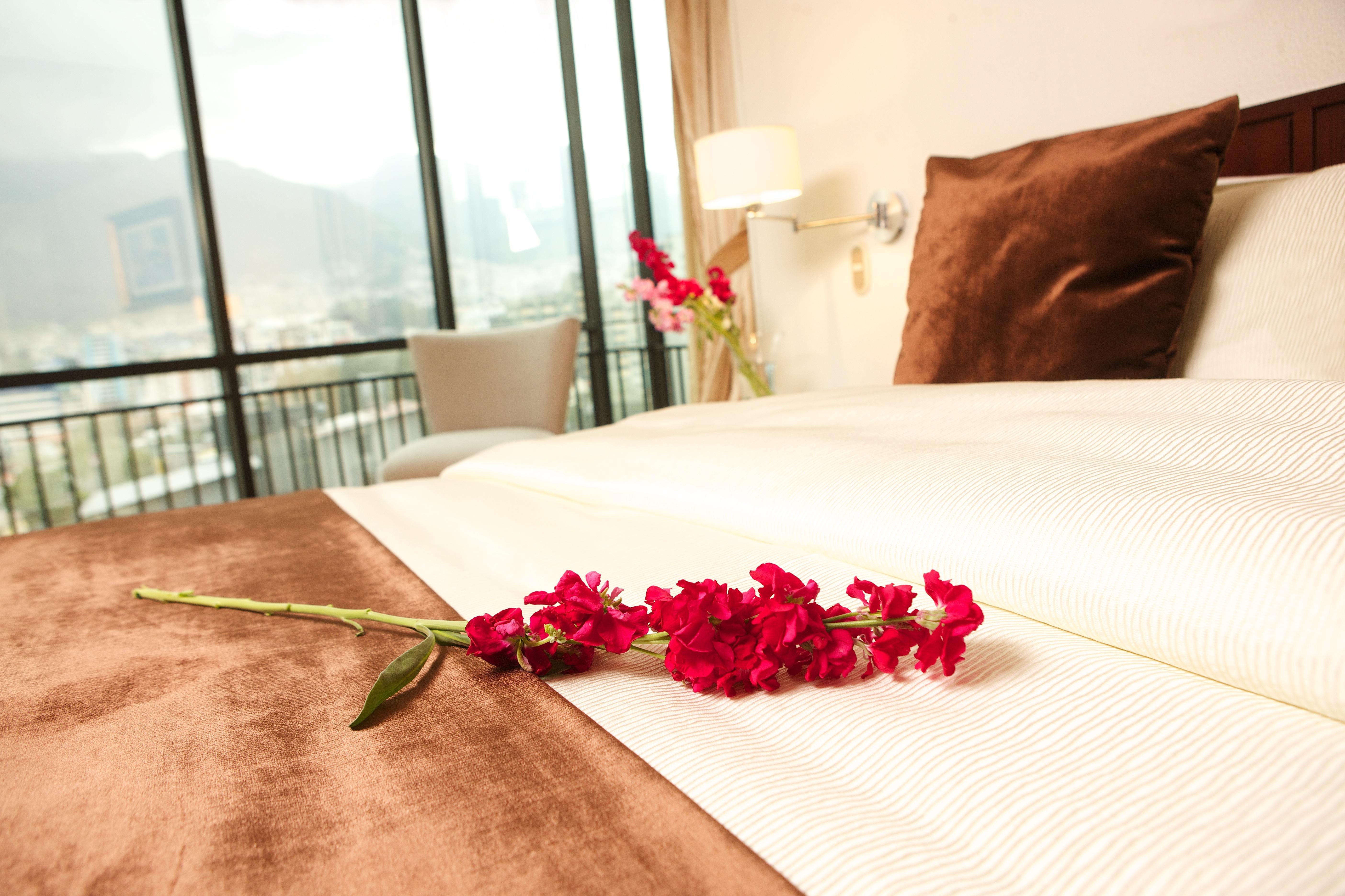 Hotel Rio Amazonas Quito Ngoại thất bức ảnh